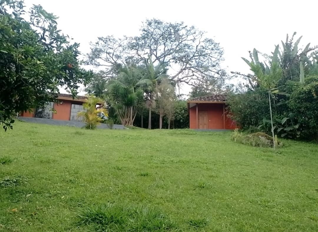 Zonas verdes de la finca con las dos viviendas al fondo